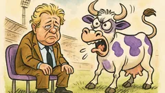 Barzelletta: Cecchi Gori e la mucca pazza