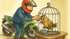 Barzelletta: Motociclista in autostrada, passerotto in rotta